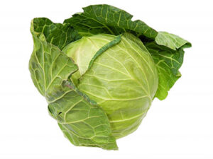 キャベツ2