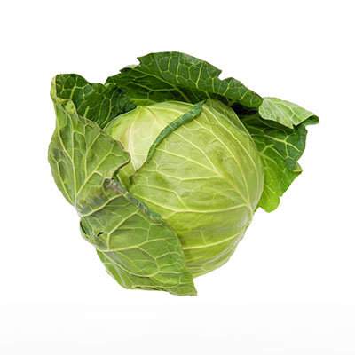 キャベツ2