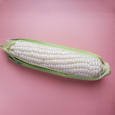 トウモロコシ2